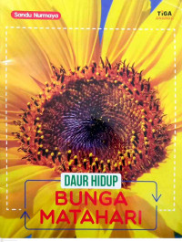 Image of Daur Hidup : Bunga Matahari