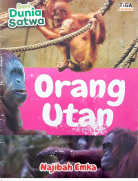 Image of Orang Utan